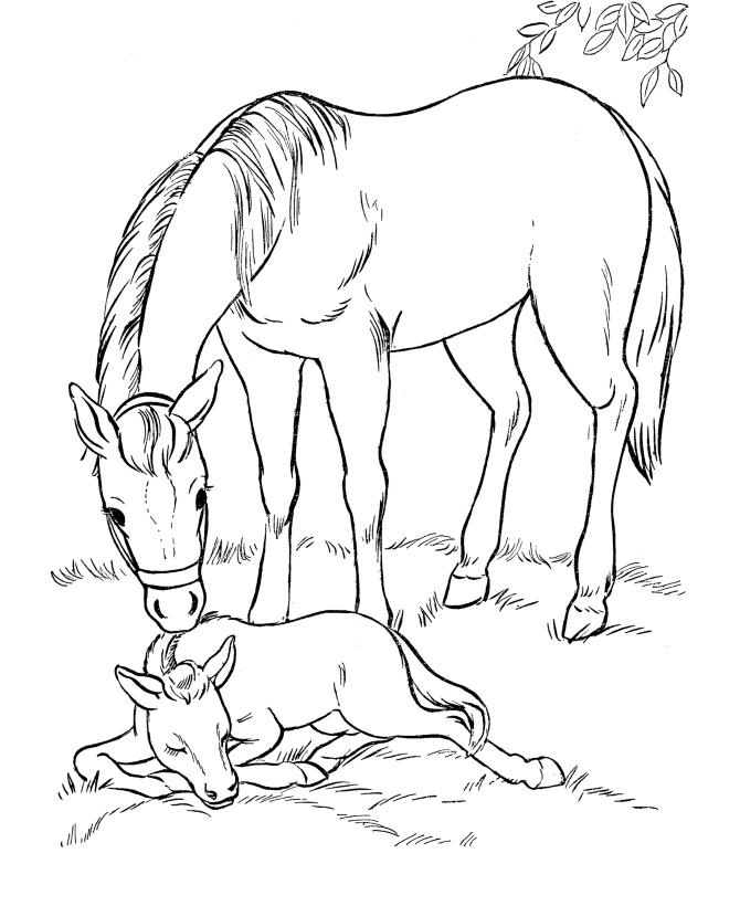 670x820 19 Best Coloring Our Pony Pal Images On Coloring Pages