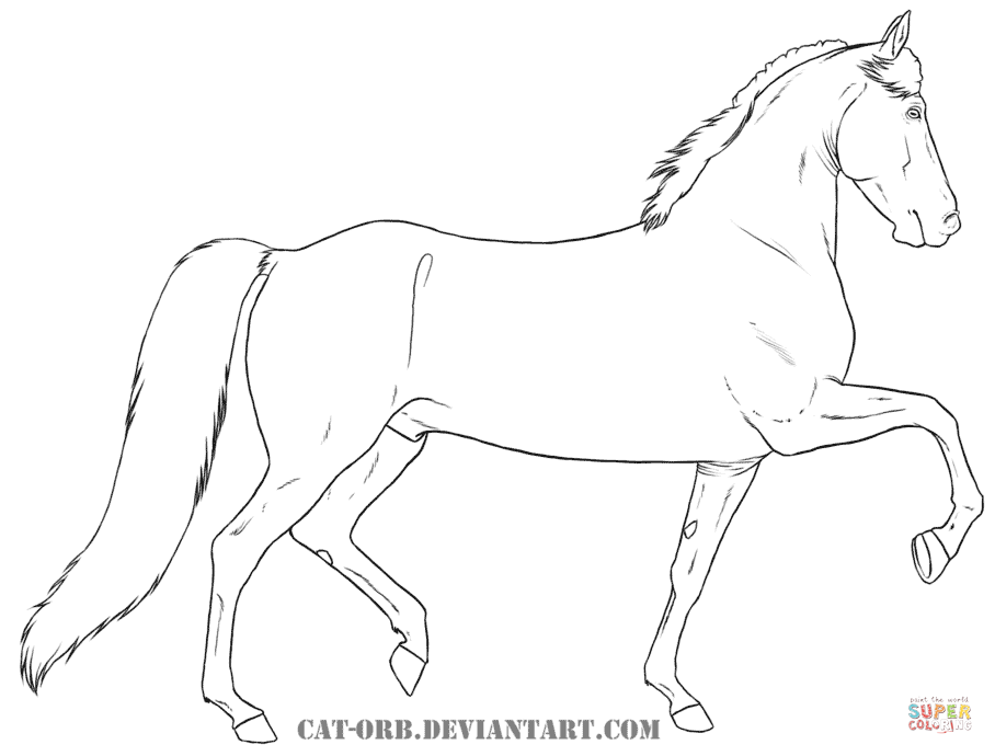 908x690 Morgan For Coloring Page
