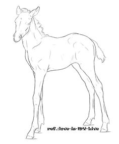 236x285 3340c6eddb4917987084004e0c3ef975 Horse Coloring Pages Adult