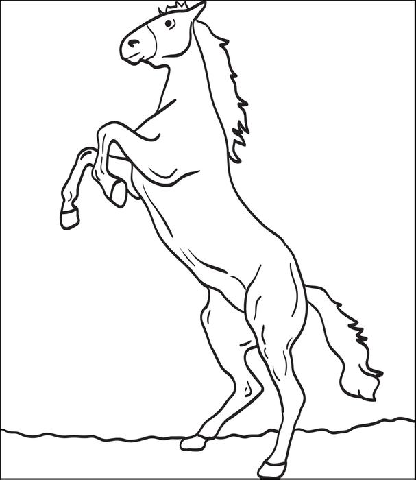 607x700 Clydesdale Coloring Pages