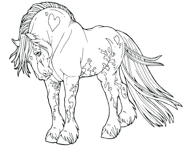 618x513 Coloring Pages Horses Free Best Of Printable Horse Color Also