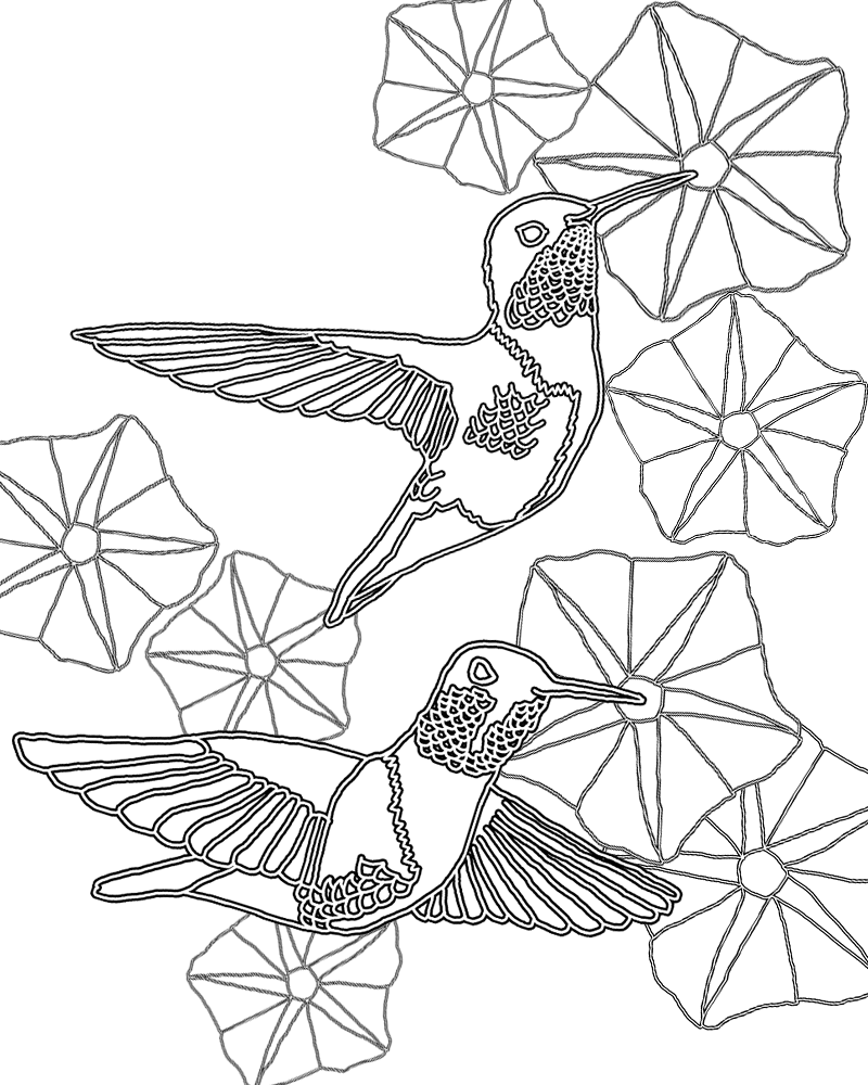 800x1000 Free Morning Glory Coloring Pages