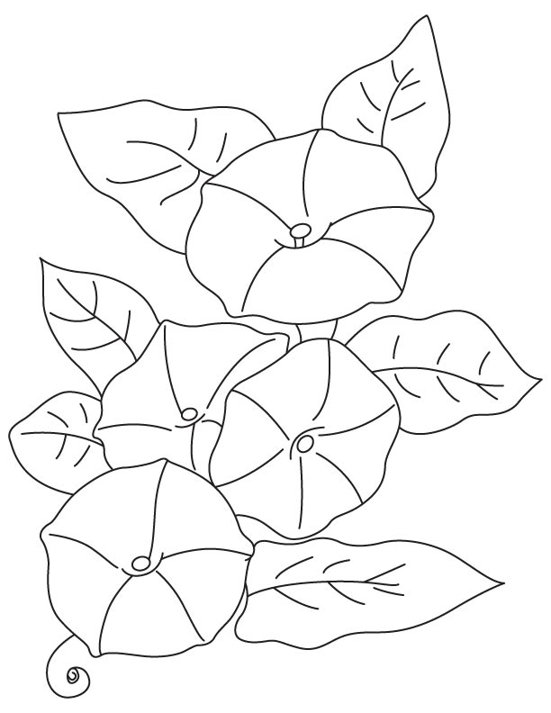 612x792 Leli Flower Coloring Page Download Free Leli Flower Coloring