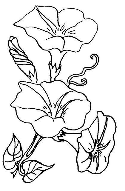 419x640 Morning Glory Flower Tattoo Embroidery, Knit