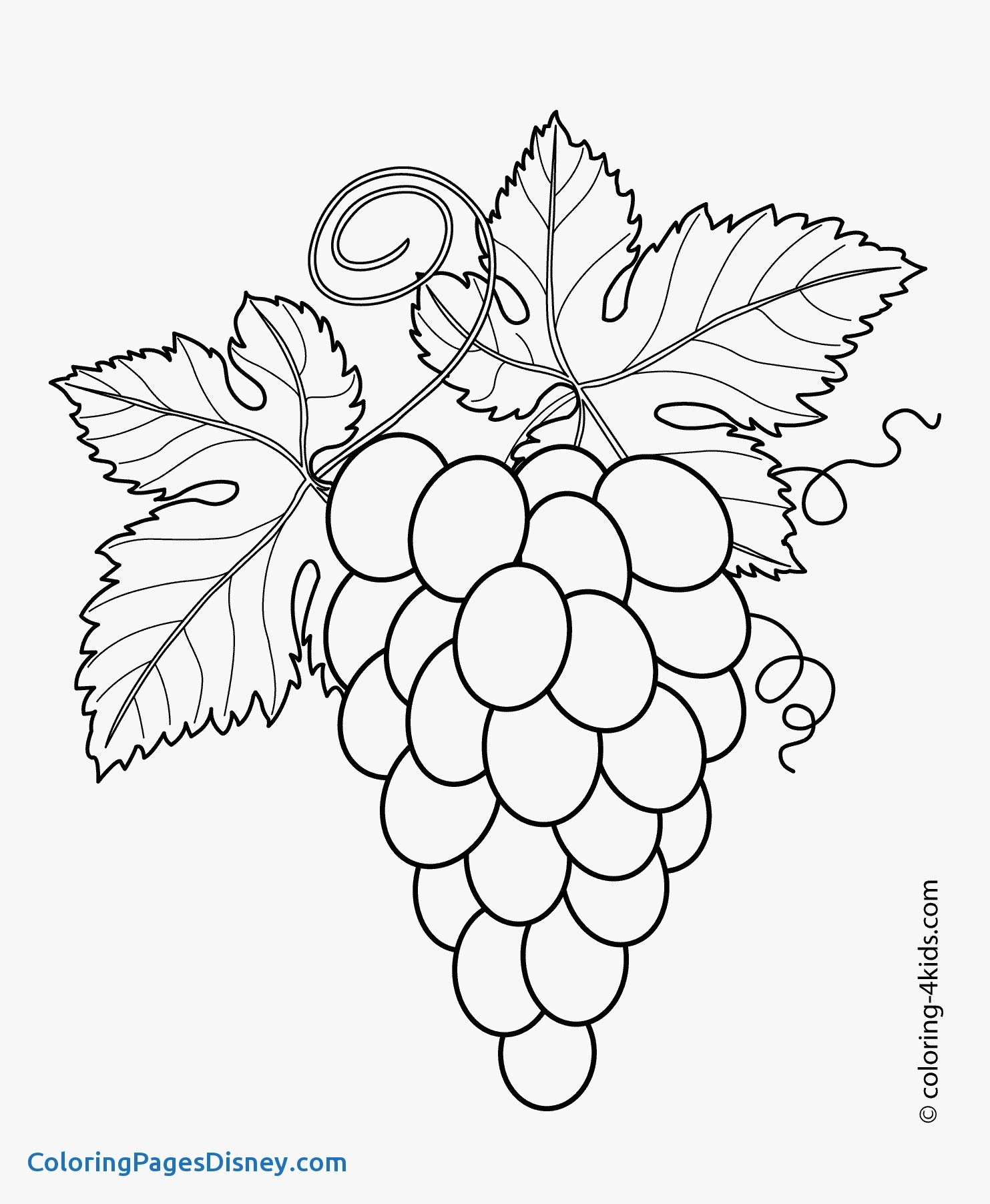 1483x1804 Morning Glory Coloring Pages Inspirational Grapes With Leaves