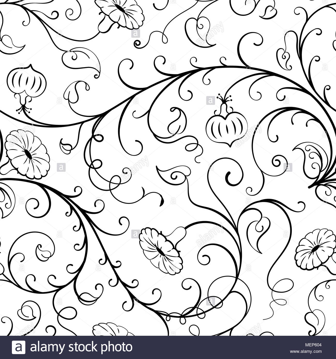 1300x1390 Morning Glory Flower Black And White Stock Photos Amp Images