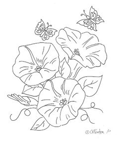 236x292 Morning Glory Flower Drawings Morning Glory Flower Drawing