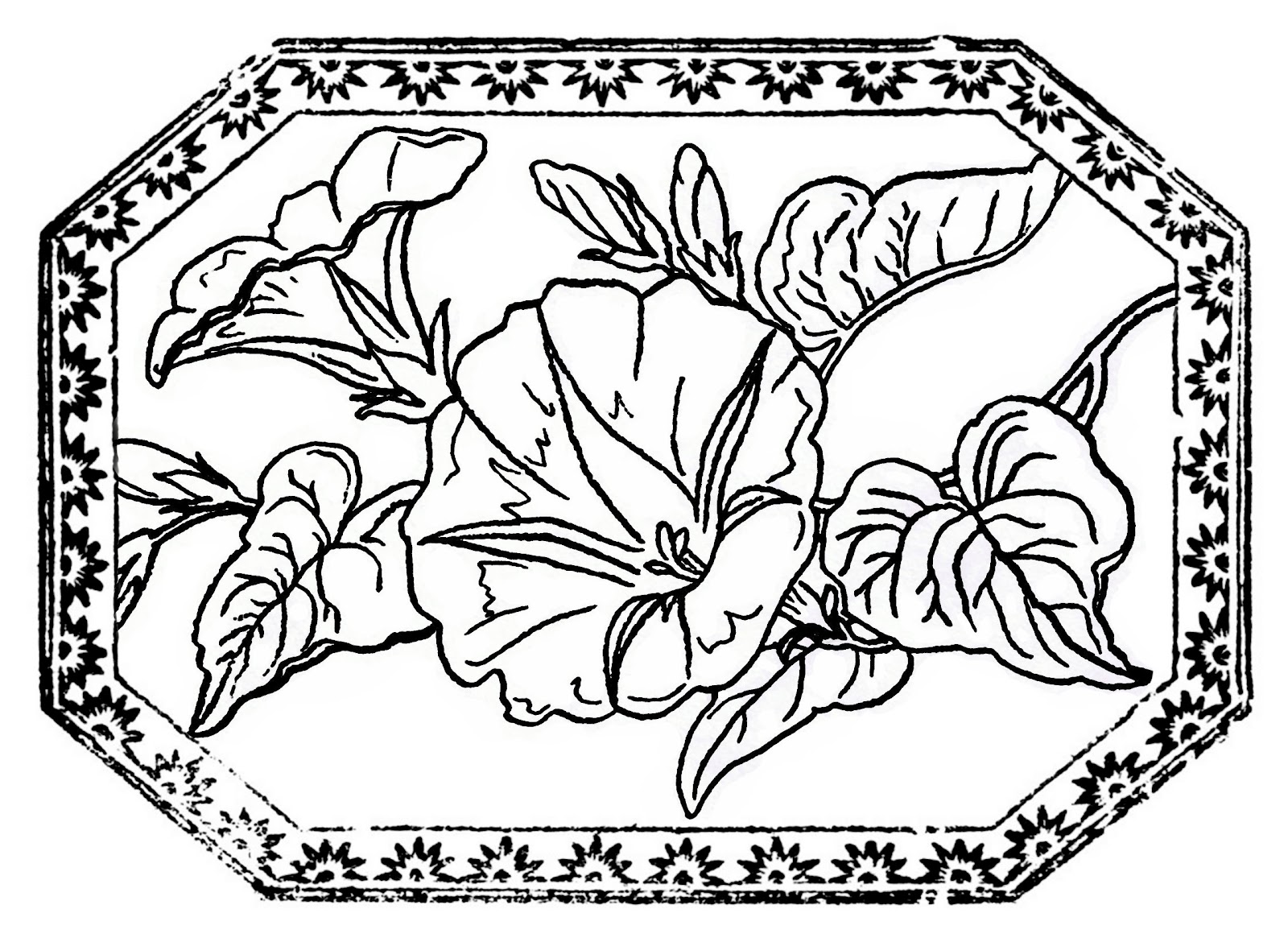 1600x1170 Morning Glory Coloring Pages Ej Gaines Mizzou Mega Evolution