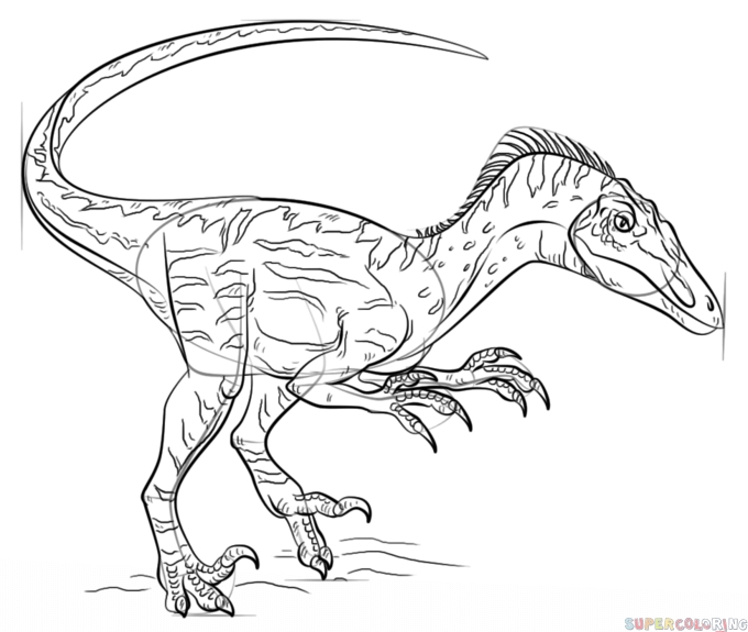 680x575 Jurassic World Coloring Pages Mosasaurus Download Free Coloring