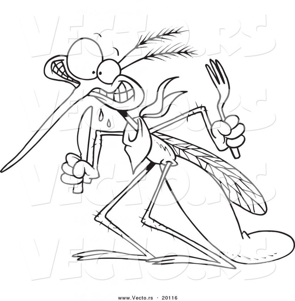 1004x1024 Mosquito Coloring Page Deeptown Club
