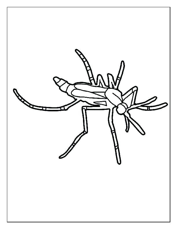 612x792 Mosquito Coloring Page Bee To Color In Coloring Page Animal