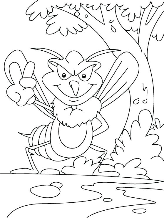 558x740 Mosquito Coloring Page Coloring Page Mosquito Bite Free Mosquito
