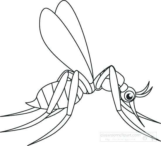 550x501 Mosquito Coloring Page Insect Coloring Page Coloring Pages Insects