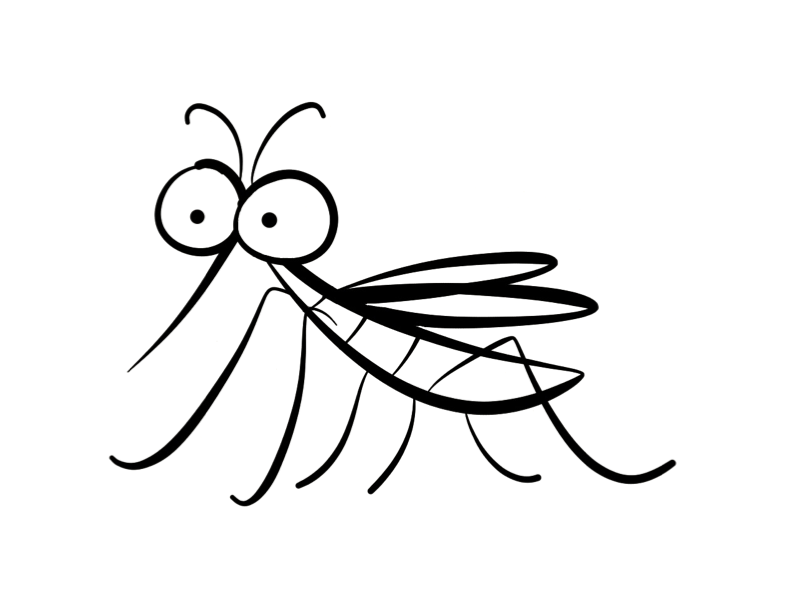 792x612 Mosquito Coloring Page Colordad