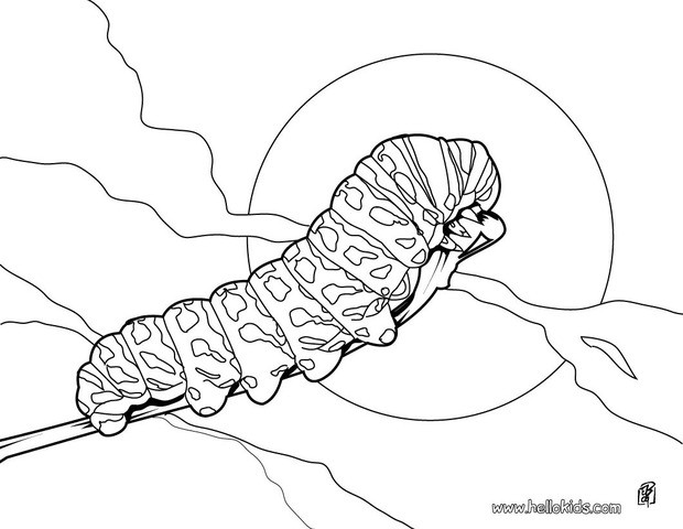 620x480 Mosquito Coloring Pages