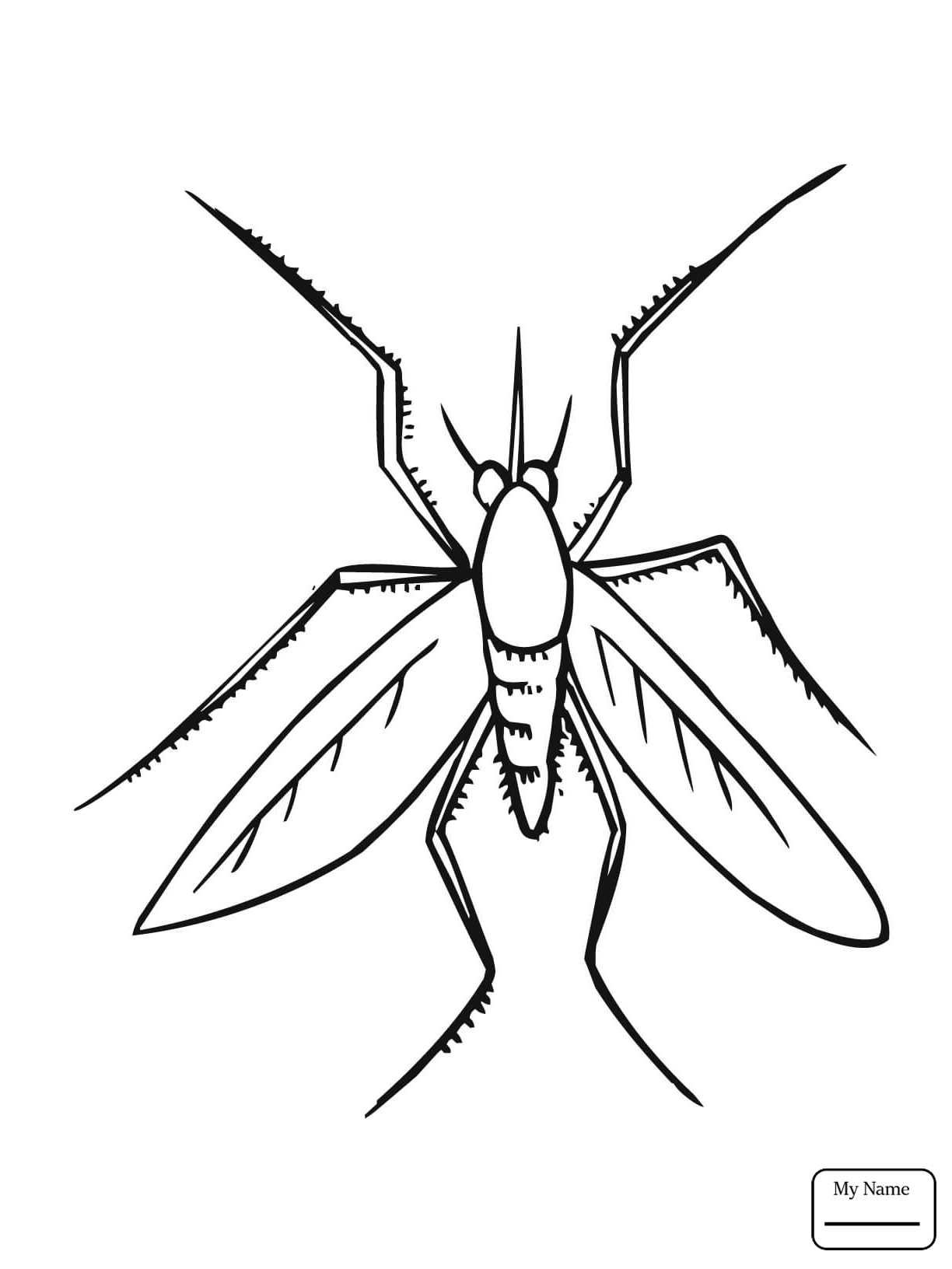 1224x1632 Coloring Pages Insects Mosquito Insect Abccoloring4you Com Inside