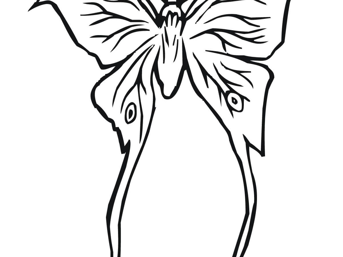 1200x900 Imposing Moth Coloring Pages For Kids Luna Killer Butterfly