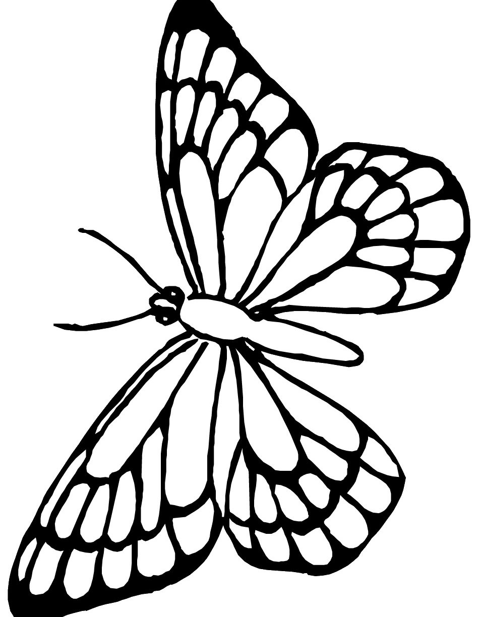 950x1224 Mothman Coloring Pages Luna Moth Butterfly And Free Cicada Nymph