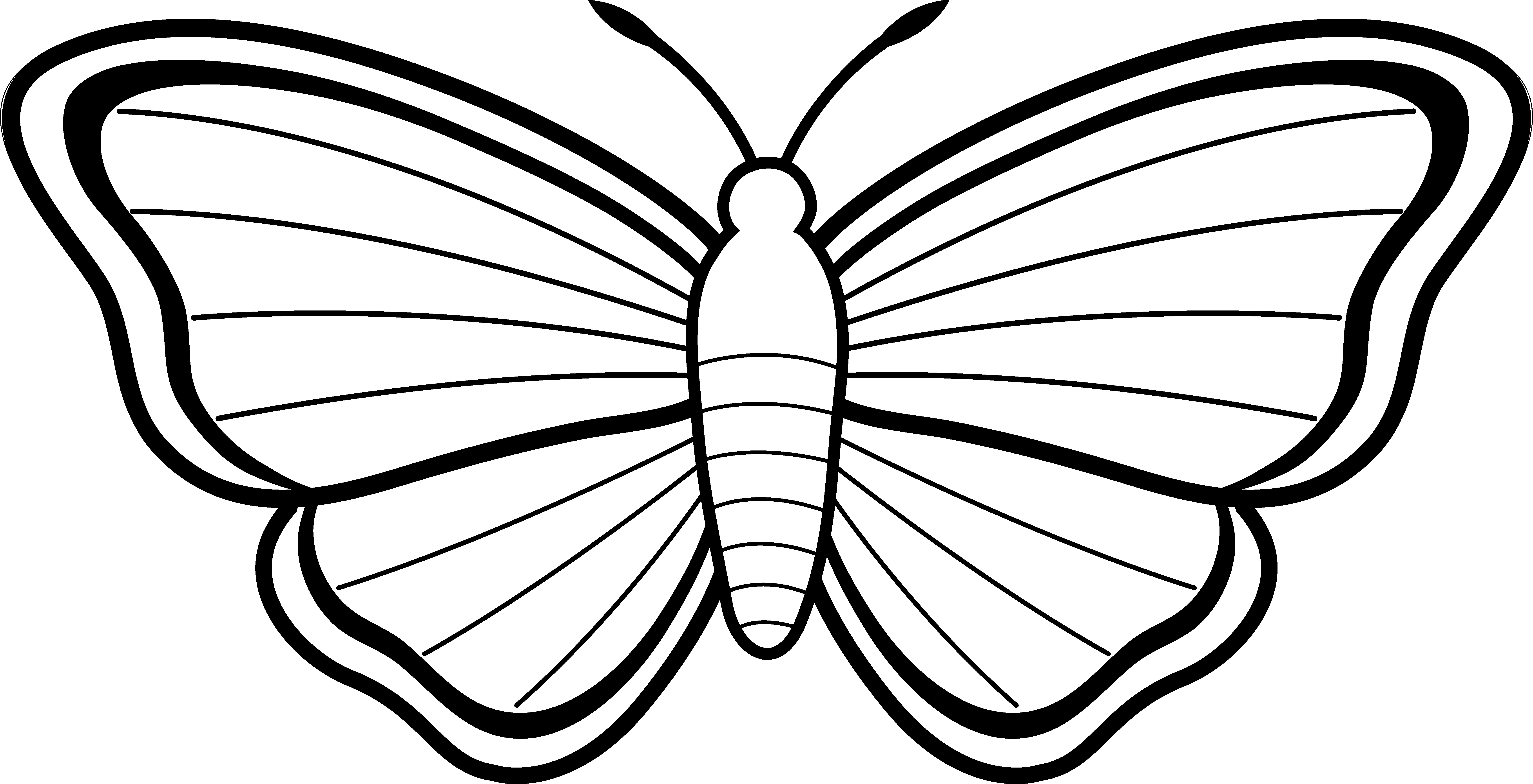 6978x3573 Printable Butterfly Coloring Pages Best Of Black And White Moth