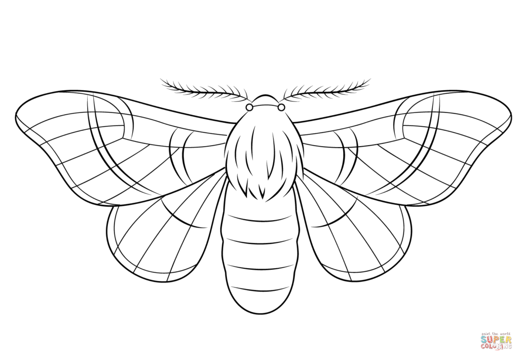 1024x704 Silkmoth Coloring Page Free Printable Coloring Pages Silk Worm