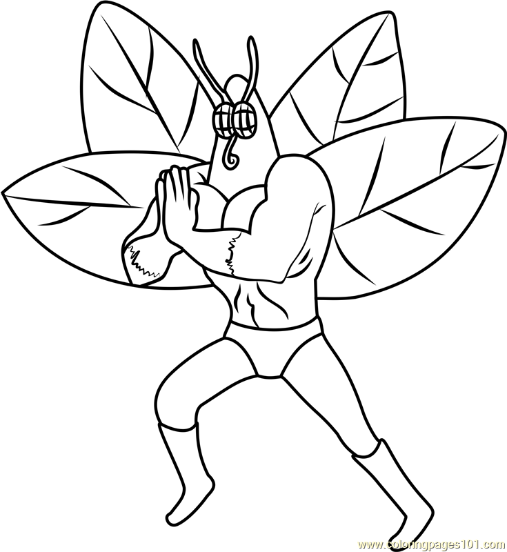 735x800 The Moth Coloring Page