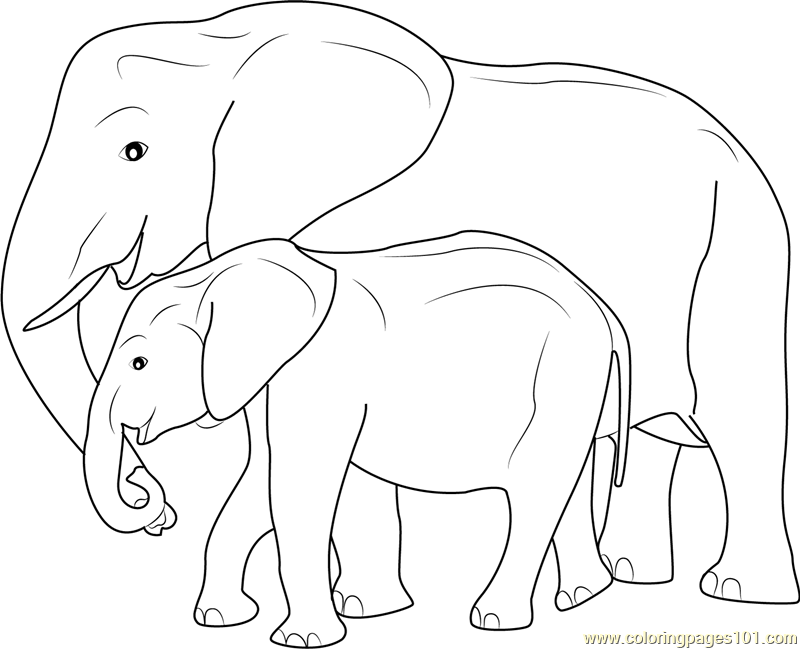 800x649 Mother And Baby Elephant Coloring Page