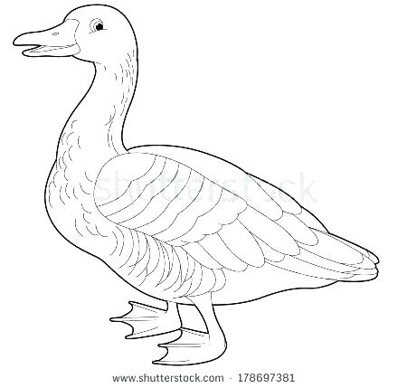 450x429 Mother Goose Coloring Pages Free Goose Coloring Pages Nursery
