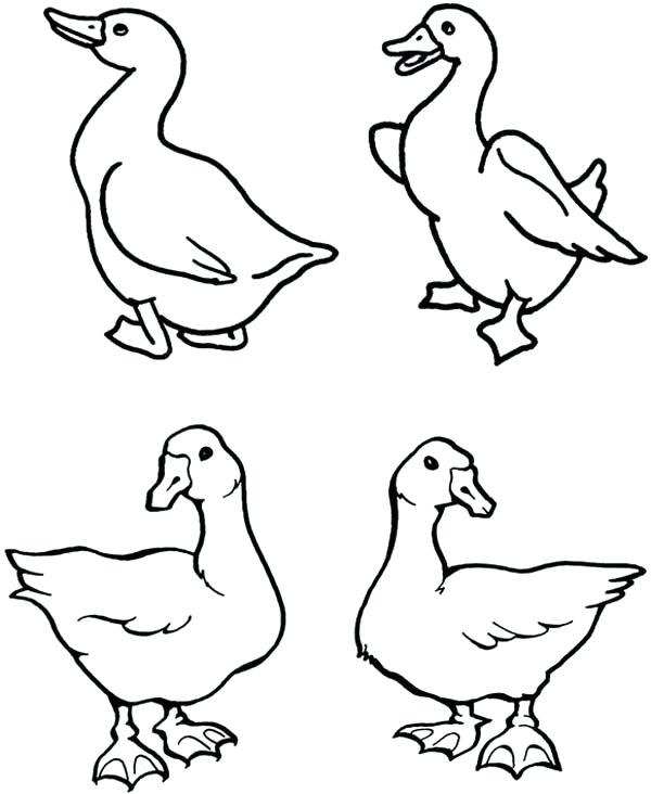 600x732 Goose Coloring Page Goose Picture Coloring Page Mother Goose