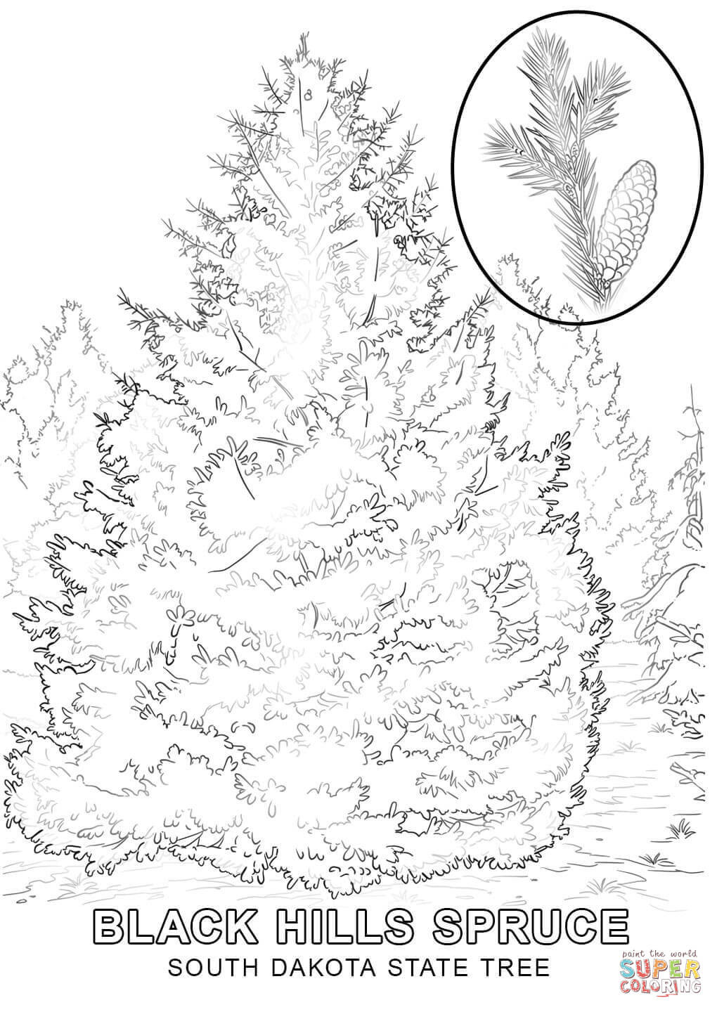 1020x1440 Mount Rushmore Coloring Page Within 3 Tgm Sports Brilliant