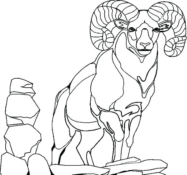 600x563 Goat Coloring Pictures Goat Coloring Pages Giraffe Goat Kids