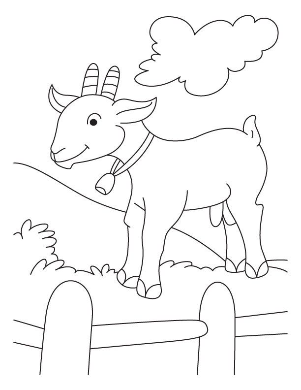 612x792 Mountain Goat Coloring Pages Fair Coloring Contest