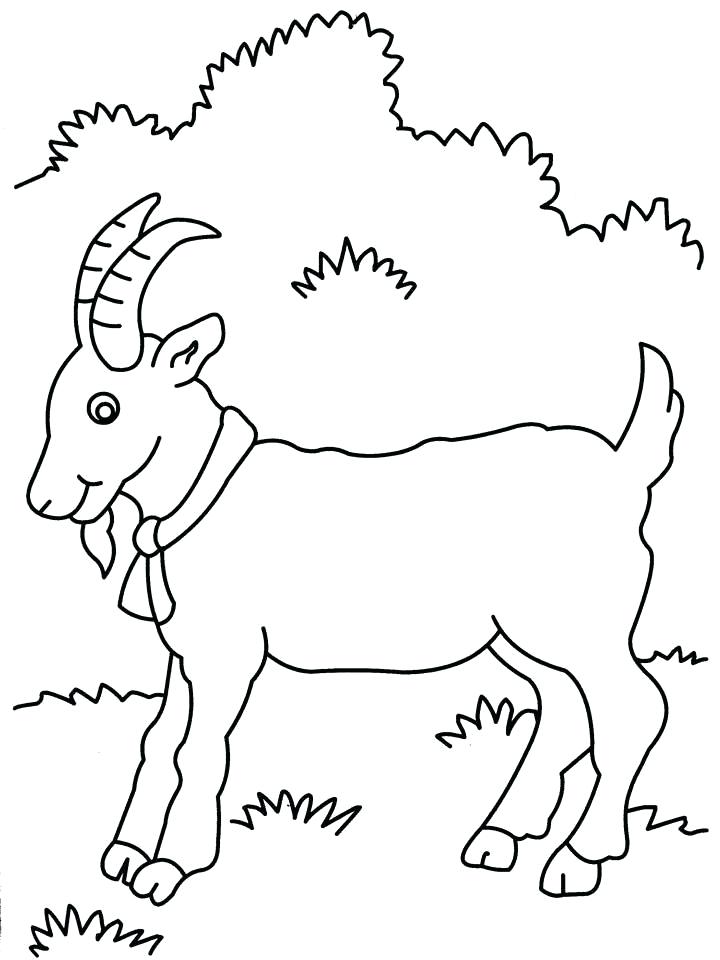 720x960 Mountain Goat Coloring Pages Preschool In Pretty Giraffe Goat Kids