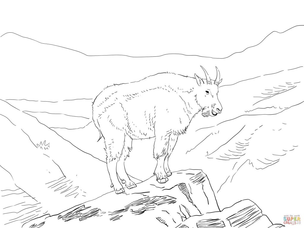 1024x768 Mountain Goat Mount Massive For Coloring Page