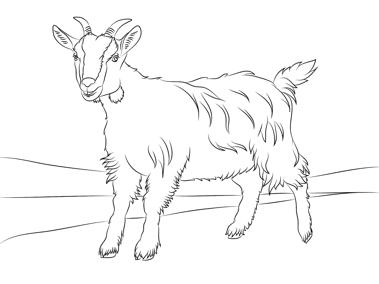 1224x916 Coloring Pages Farm Animals Cute Billy Goat Smiles Free Printables