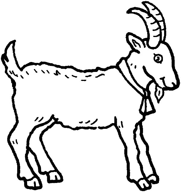 600x638 Mountain Goat Wearing Bell Coloring Pages Color Luna