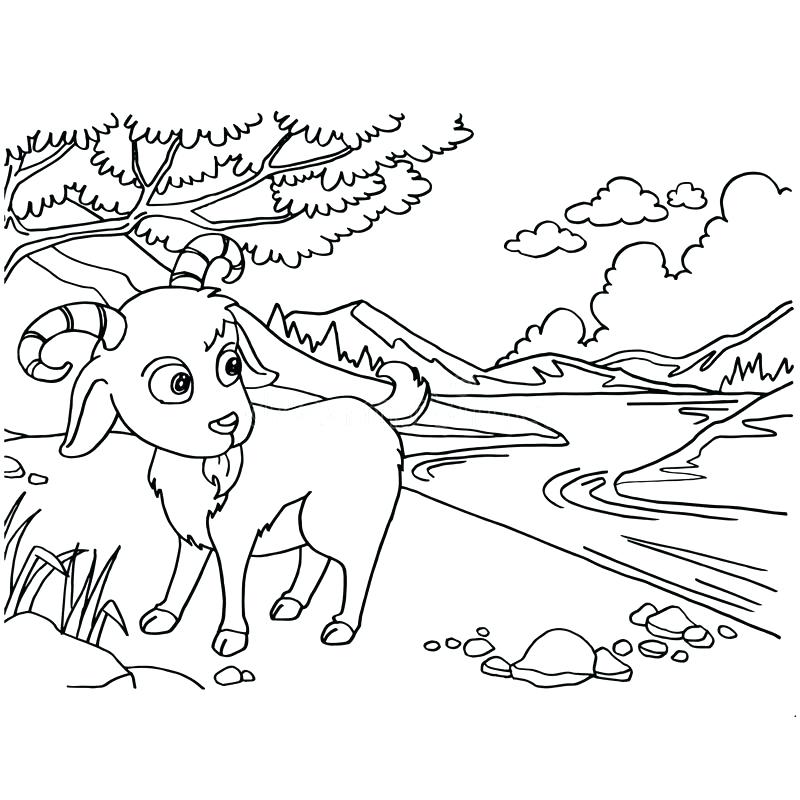 800x800 Printable Goat Coloring Page Goat Coloring Page Cute Goat Coloring