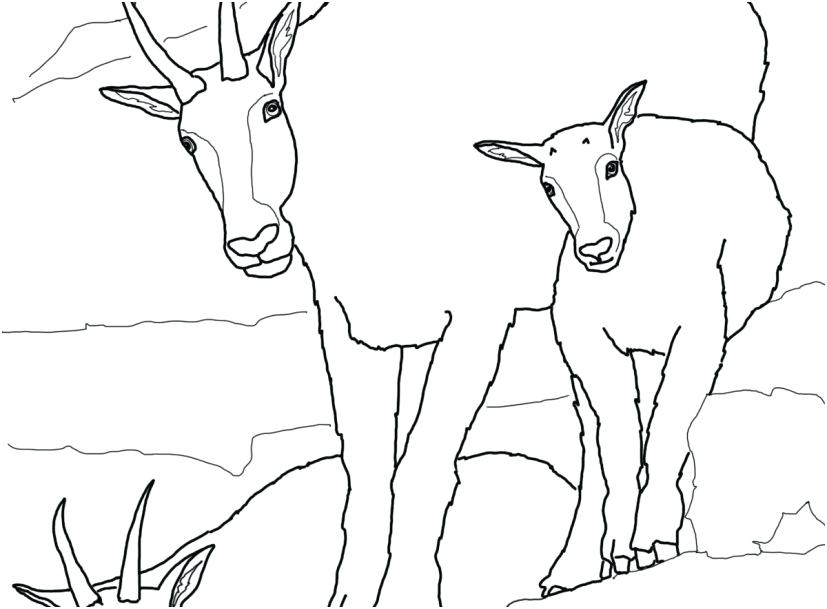 827x609 Goat Coloring Pictures Autoinsuranceny.club
