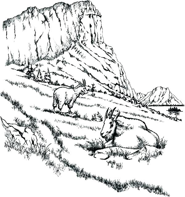 600x640 Mountain Coloring Pages