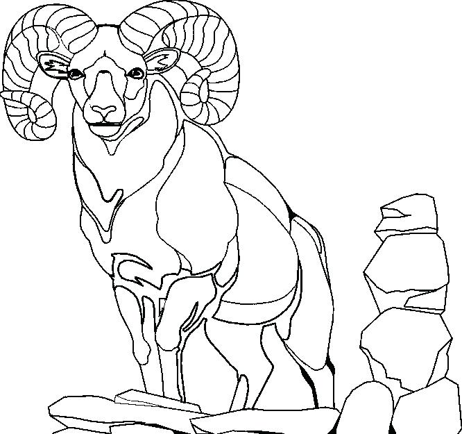 666x625 Mountains Coloring Page