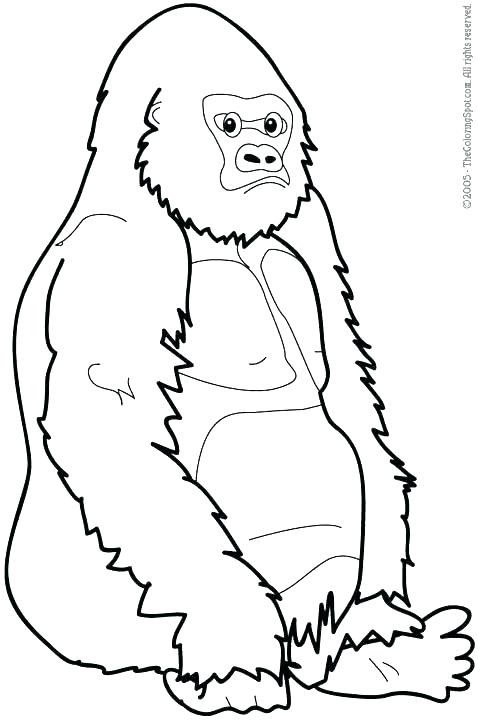 478x720 Gorilla Coloring Pictures Gorilla Coloring Pages Mountain Coloring