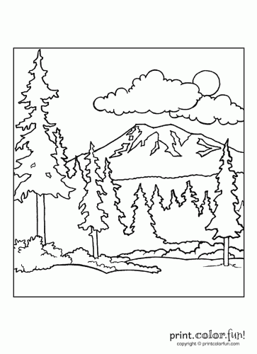363x500 Forest Scene Coloring Page