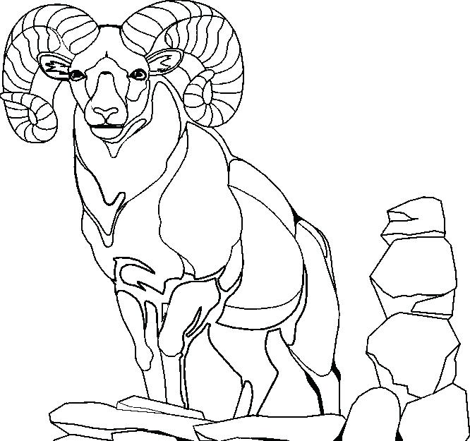 666x625 Mountain Coloring Page Splash Mountain Coloring Page Mountain Lion