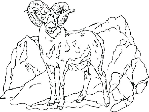 600x452 Mountain Coloring Pages Mountains And Glaciers Coloring Page