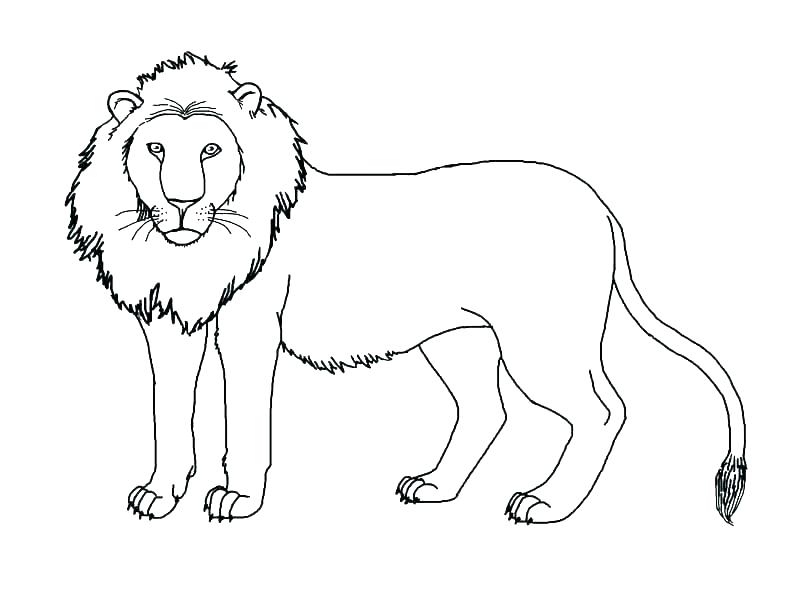 792x612 Mountain Lion Coloring Page Lion Coloring Pages Lamb And Lion