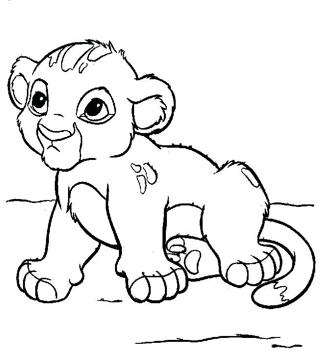 660x732 Mountain Lion Coloring Pages Lion Coloring Page To Cure Draw Paint