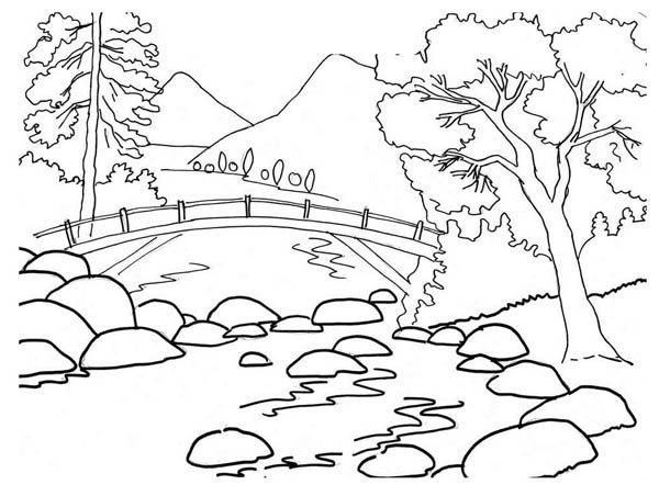 600x452 Spring Landscape Coloring Pages