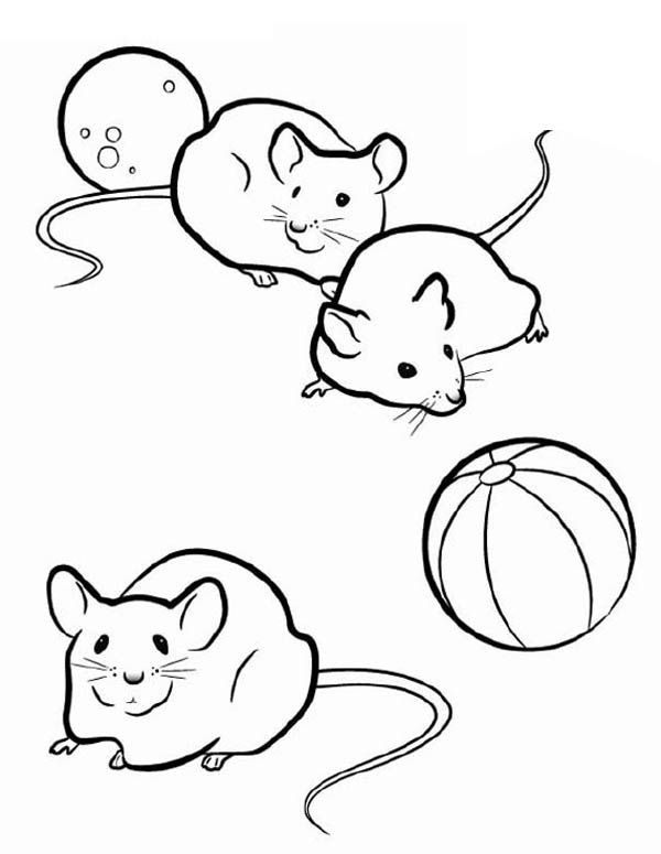 600x775 Three Mice In Guinea Pig Coloring Page Three Mice In Guinea Pig