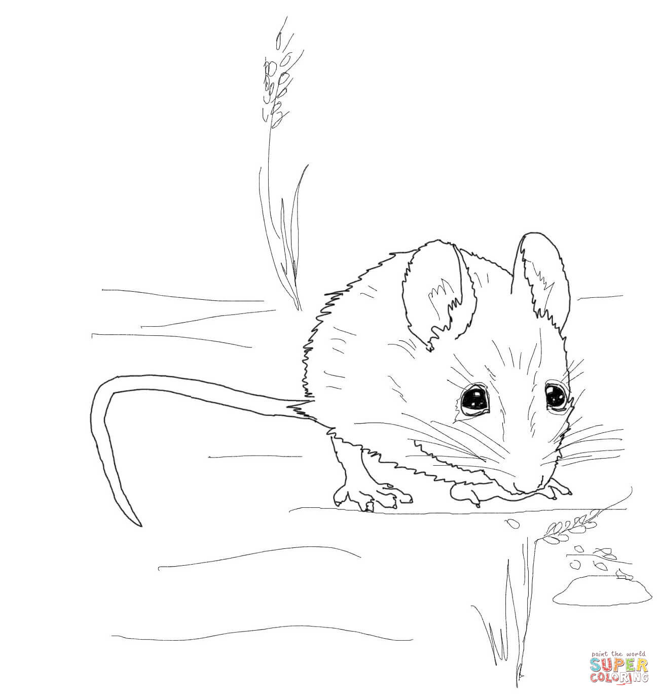 1302x1372 Mice Coloring Pages Free Coloring Pages Mouse Coloring Page Free