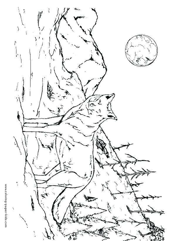 590x821 Baby Clawdeen Wolf Coloring Pages