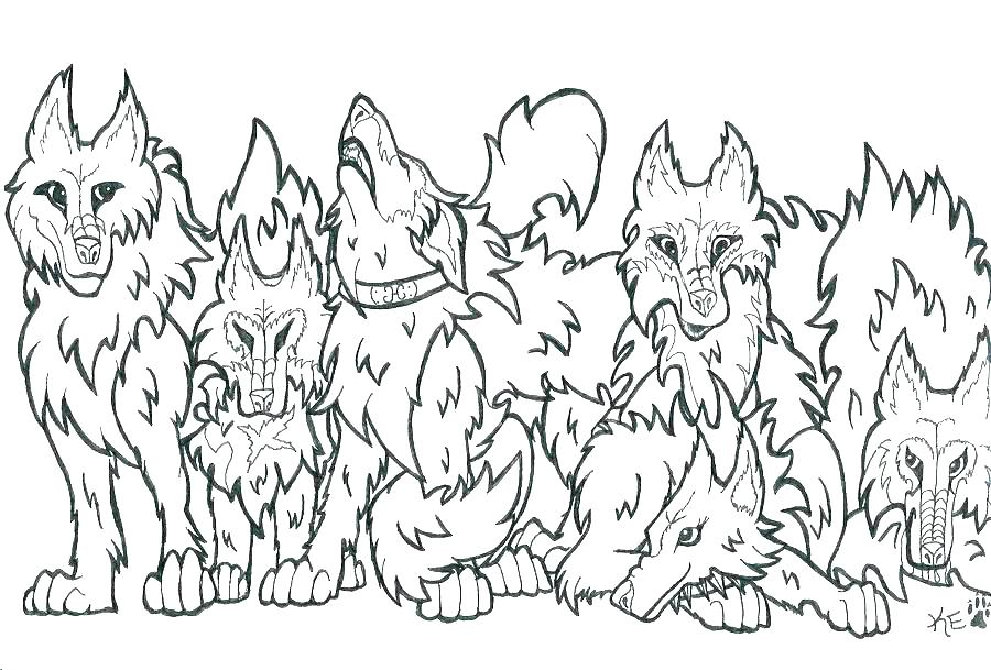 900x609 Coloring Page Wolf Wolf Color Page Wolf Coloring Pages Two Wolves
